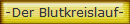 -Der Blutkreislauf-