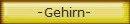 -Gehirn-