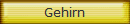 Gehirn